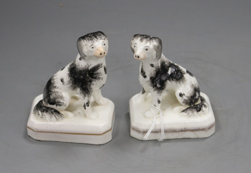 A pair of Staffordshire porcelain figures of seated King Charles spaniels, c.1830-50, H. 8.5cm